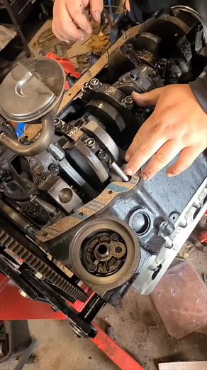 Back40ProjectProgress on TikTok