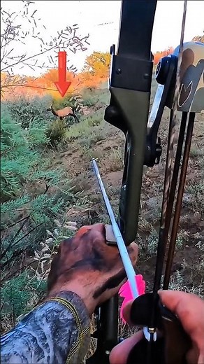 Massive Bull Elk Taken with a Perfect Archery Shot | Ultimate Wilderness Hunting Adventure#deer