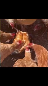 Good night | Johnbest comedian