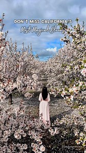 90K views · 2.4K reactions | 3 scenic driving routes for the best...