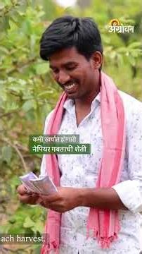 Napier grass : शेतकऱ्यांना बायो-सीएनजी उत्पादनातून फायदा मिळतो का? | Agrowon