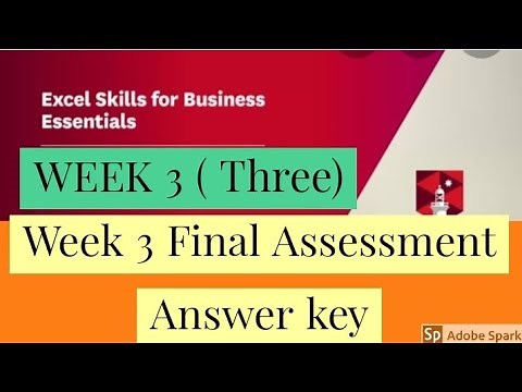 Excel skills for business essentials week 3 assessment answer key coursera course || excel solution