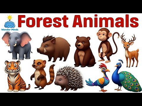 Forest Animals for Kids 🌳 | Learn 10 Forest Animal Names & Fun Facts #forestanimals #animalnames