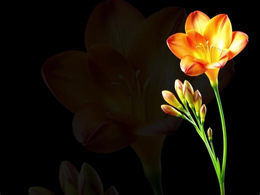 Top Nightcore Speed Songs with Lyrics