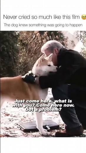 Hachi: a dog’s tale 🎥