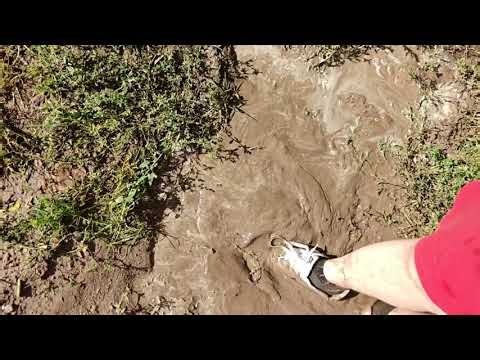 End of summer mud session part 3 - The return of the white Nike SB