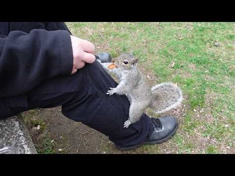 There's a new Squirrel Whisperer in town