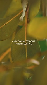 1K views | At Skins, we believe in the connection between nature and skincare, and we draw upon this profound bond to create products that nourish both body and soul. Each formulation is a blend of science and nature, carefully crafted to revitalize and reconnect you to your true essence. | Skins Cosmetics | Facebook