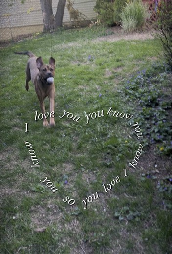 ScottishLassie (@scottishlassieinpa)’s videos with original sound - ScottishLassie