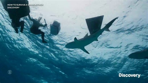 Paul de Gelder, who became a shark conservation advocate after losing his hand and leg in a 2009 shark attack, is back to co-host #SharkWeek. In his new special, “How to Survive a Shark Attack,” he and his team try to get attacked, in an effort to teach others life-saving techniques: “I don’t want people to have to go through what I went through.” | CBS Mornings