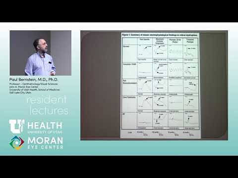 Retinal and Macular Dystrophies