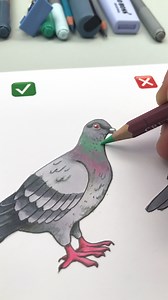 How to draw a realistic pigeon 🐦🎨 #EasyDrawing #DrawingTutorial #PigeonDrawing #BirdArt #RealisticDrawing #StepByStepArt #MarkerArt #AnimalSketch #CreativeDrawing | Art Room