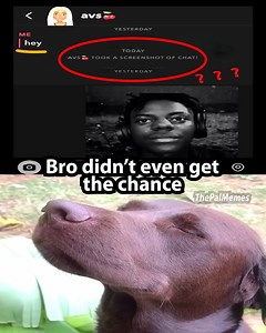 The Pal Memes on Reels