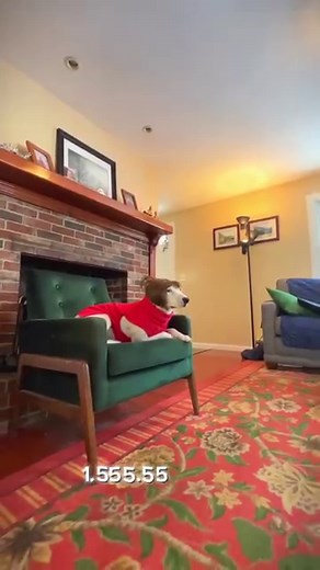 Call Karen Bark to tour one of her houses! #karenbark #karenbarkrealty #realestate #realestategoals #realtor #realtorsofinstagram #realtorsoffacebook #realestateagents #houses #openhouse #newlisting | MisterMainer