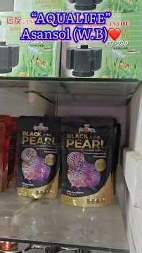 Asansol's Best Aquarium Shop Tour! 🐠|Guess My New 10-Inch Monster Fishes! 👑#aquariumshop #fishtank