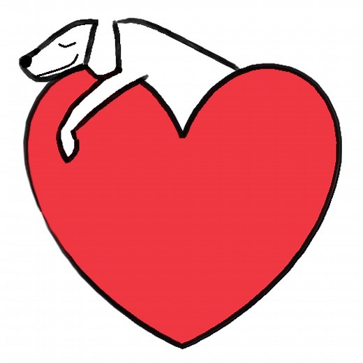 Refuge d'Alina et Anda | OFFICIEL FRANCE | Adoption chiens de Roumanie