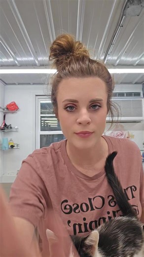 Thai, apple head, wedge head, siamese. Whats the difference? Does it matter ? | Action Farms Maine Coons