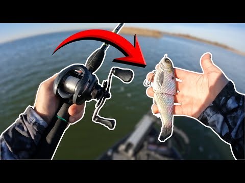 The BEST Technique to Catch GIANT Fall Bass
