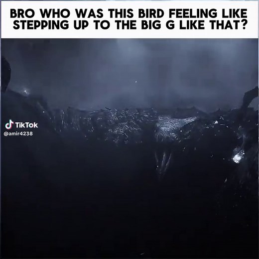 That’s aura can’t lie #godzillakingofthemonsters #godzillaedit #rodan #gojira #fyp