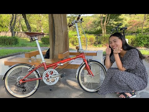 New Bike Day! DAHON HIT & DAHON Boardwalk D7 Folding Bike Review