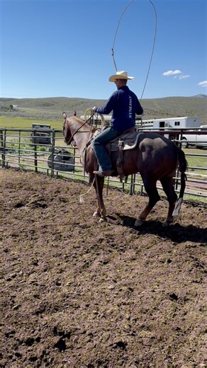 5.3K views · 64 reactions | Let’s design a custom saddle pad 朗 Come back tomorrow to see how well these saddle pads wear! Marty Simper Show Horses | Weaver Equine | Facebook