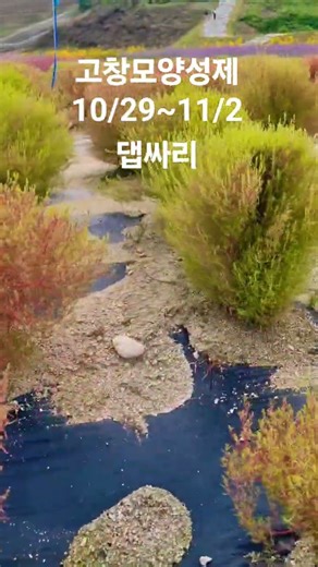 고창모양성제 #고창모양성제 #식물 #자연 #여행 #관광 #고창군 #고창읍 #꽃동산 #지역축제