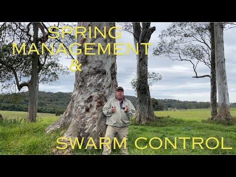 🐝 Mid July is spring management time. Checking for mites, swarm prevention & making nucleus hives.