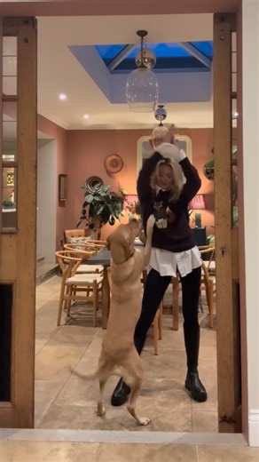 Francesca Rowan-Plowden on Instagram: "Lots of love again on stories for Gracie's disco dancing, so thought she'd should have another spot on the grid! (Also just annoy Charlie our very judgmental cat..🐈‍⬛) . Happy Sunday folks xxx 💛🐾🐾 . #kitchendisco #dogdancing . (Walls in Marrakech @fenwickandtilbrook Chairs @nordina_home Christmas bow @__amongst__ Lanterns @jimlawrencemade Fox Jumper @joules Boots @officeshoes)"