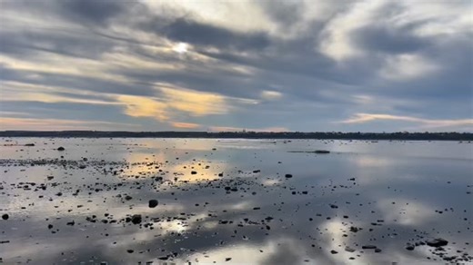 Entre deux eaux | John Blouin
