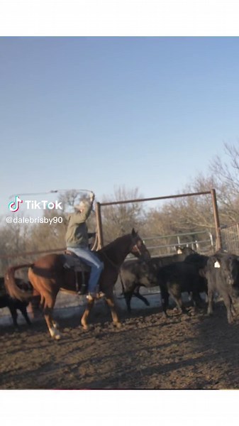 Rodeo Time: Embracing the Cowboy Lifestyle with Dale Brisby