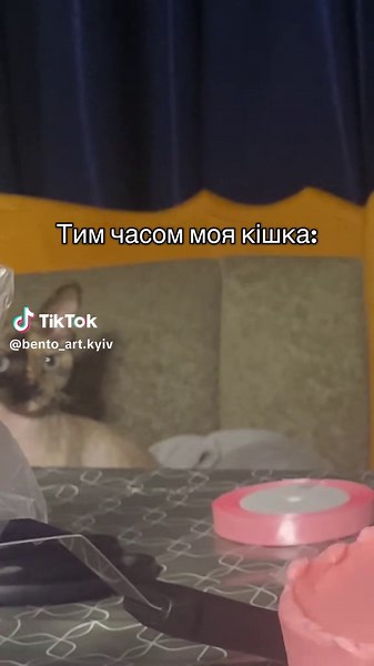 І так кожний раз😂 #бенто #торт