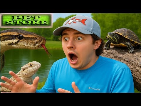 🐶 Ultimate Pet Store Tour 2025 | Cutest Animals, Pet Care Tips & Accessories