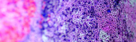 Identifying the mitochondrial DNA mutations that cause cancer