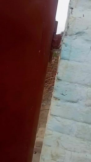 2.8K reactions · 21 shares | For sel 5 marly,,03069882399 | Adnan Ali Adnan Ali | Facebook