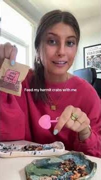 Feed my hermit crabs with me! #hermitcrabs #hermitcrab #animals #pets #beach