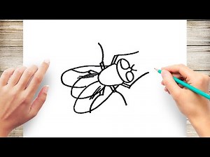 How to Draw a Fly Step by Step for Kids