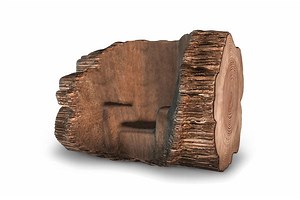 The Tree Trunk Chair