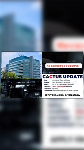 Cactus is Hiring Work From Home for Customer Care Advisors | Apply Online