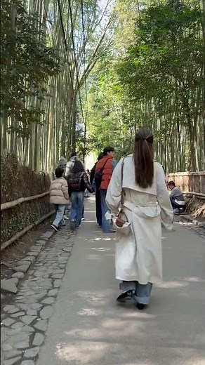 Walking around in Bamboo forest in Kyoto japan 🇯🇵