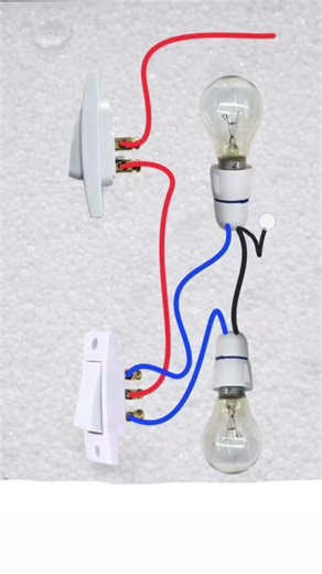 2 Switches 2 Bulbs #trending #shorts #viral #electrical