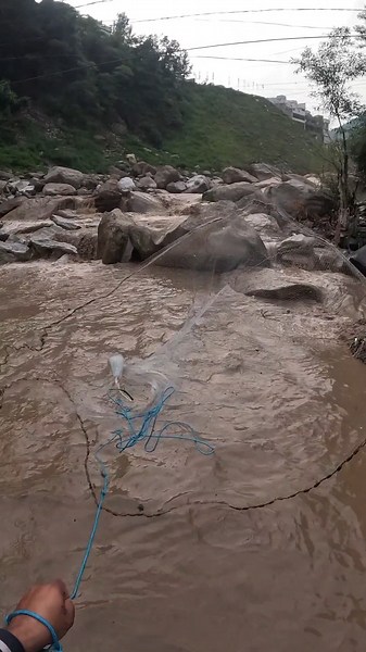 🌊 Muddy River Cast Net Fishing Adventure! 🎣When the water turns muddy, the challenge gets real.