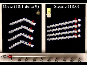 Lipid Structure Function Animation... - SafeShare
