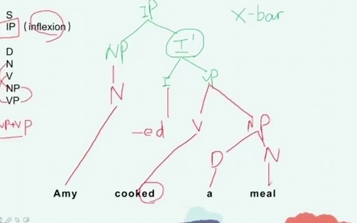 语言学-句法学-树形图画法