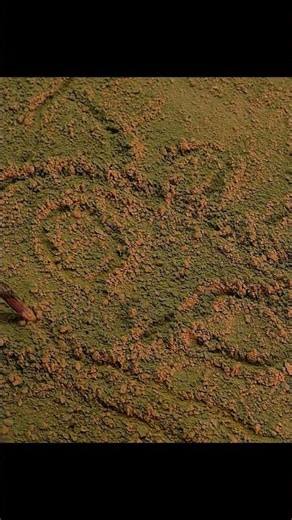 The First Touch: Hiccup Meets Toothless Without Fear 🐉🤝🔥