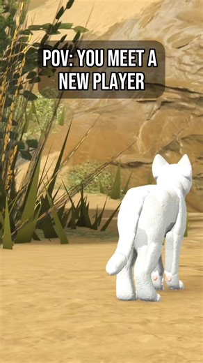 Meeting New Players in Roblox: What to Expect