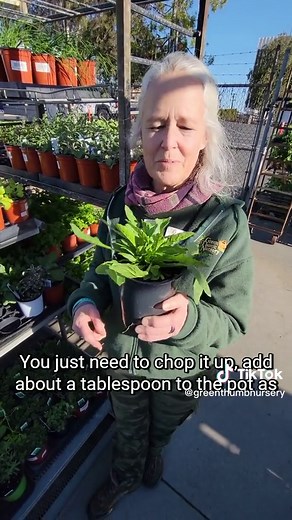 How to Remove Gas from Beans: Simple Plant Hack Revealed!