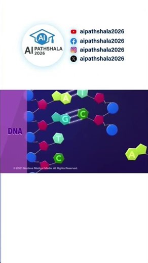 DNA 🧬 Replication #shorts #viral #facts
