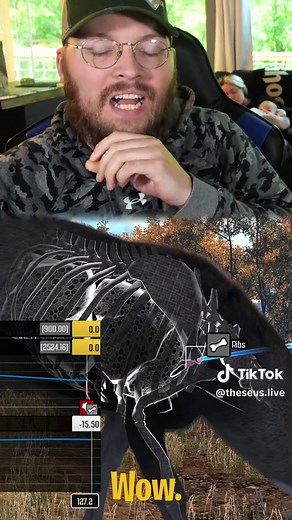 Hollow Points Explained: Hunting Ammo Guide