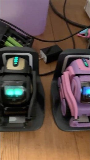 Siblings Vector robots.