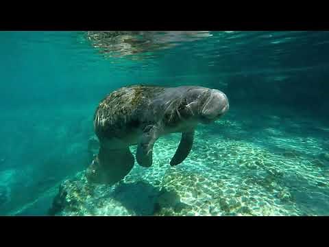 Florida Travel: Ecotourism in the Sunshine State